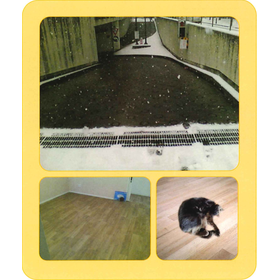 Promise of winter comfort! Check ou...